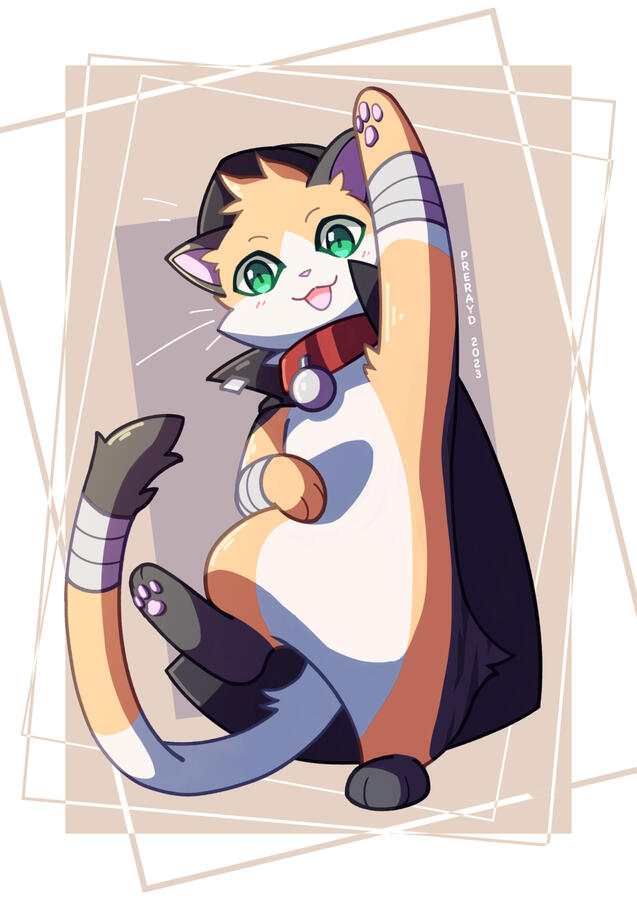 Playful cat