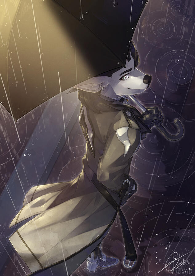 Secrets of the Night