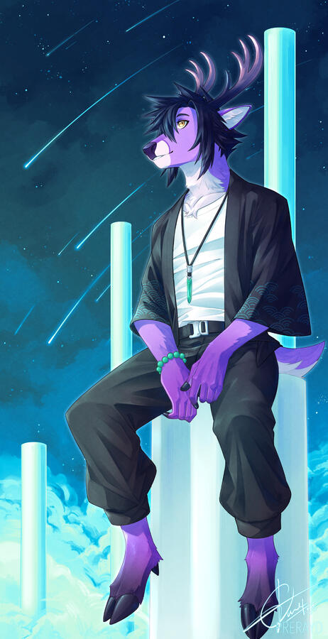 Under the Starry Sky