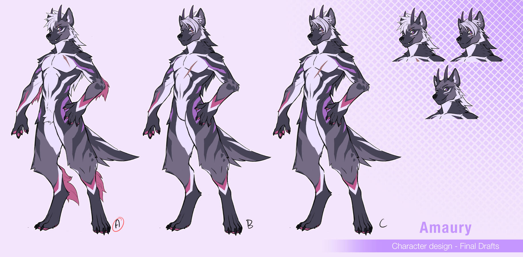 Amaury Design Propositions